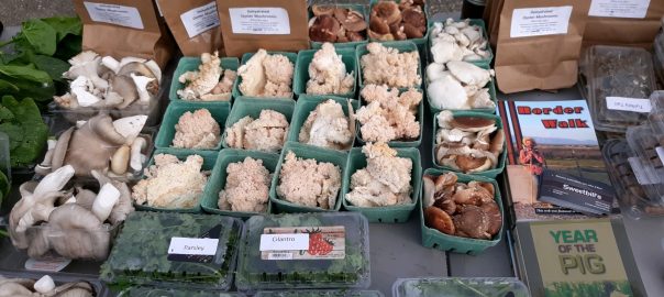fresh mushrooms and herbs